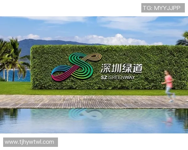 深圳篮球队团队协作的创新之路与热议背后的深层思考